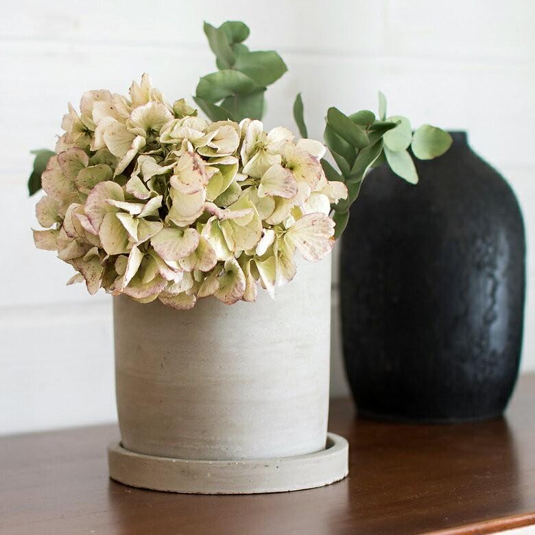 植木鉢 セメントポット 穴あり 4号サイズ 受け皿付き 直径12×高さ12cm 深型 プランターポッド フラワーポット 鉢カバー 観葉植物 ガーデニング おしゃれ 92071 | ブランド登録なし | 03