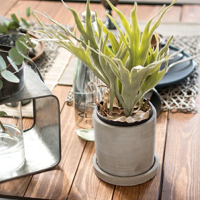 植木鉢 セメントポット 穴あり 4号サイズ 受け皿付き 直径12×高さ12cm 深型 プランターポッド フラワーポット 鉢カバー 観葉植物 ガーデニング おしゃれ 92071 | ブランド登録なし | 04