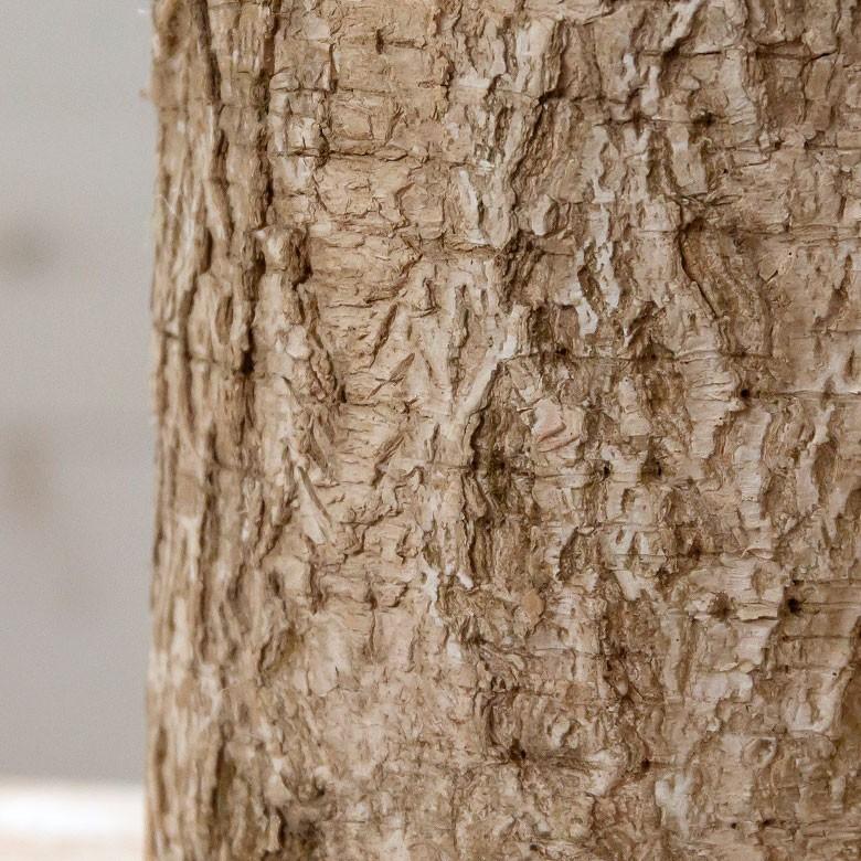 キャンドル ろうそく パークピラーキャンドル Sサイズ 切り株風 無香料 樹木 クリスマス 92111 | ブランド登録なし | 03