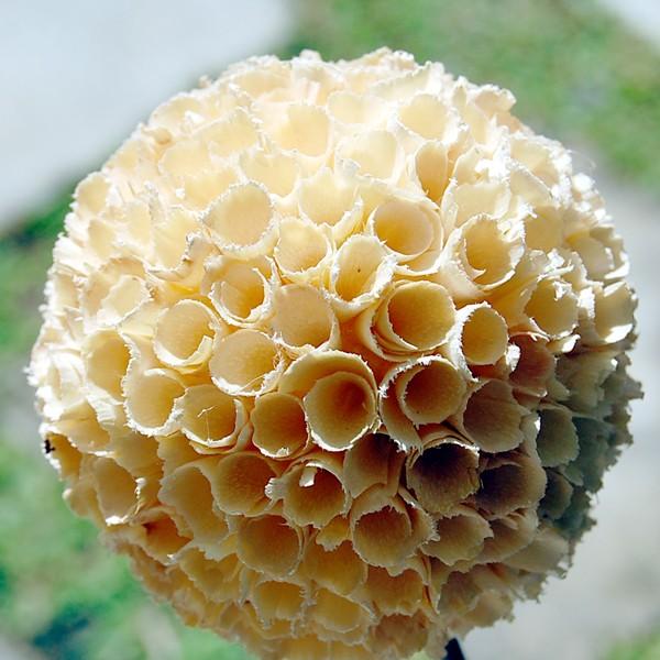 造花 アートプランツ オブジェ アイボリー アーティフィシャルフラワー フェイク インテリア デコレーション バリ 雑貨 置き物 花飾り アジア工房 9327 | ブランド登録なし