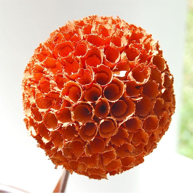 造花 アートプランツ オブジェ オレンジ アーティフィシャルフラワー フェイク インテリア デコレーション バリ 雑貨 置き物 花飾り アジア工房 9329 | ブランド登録なし