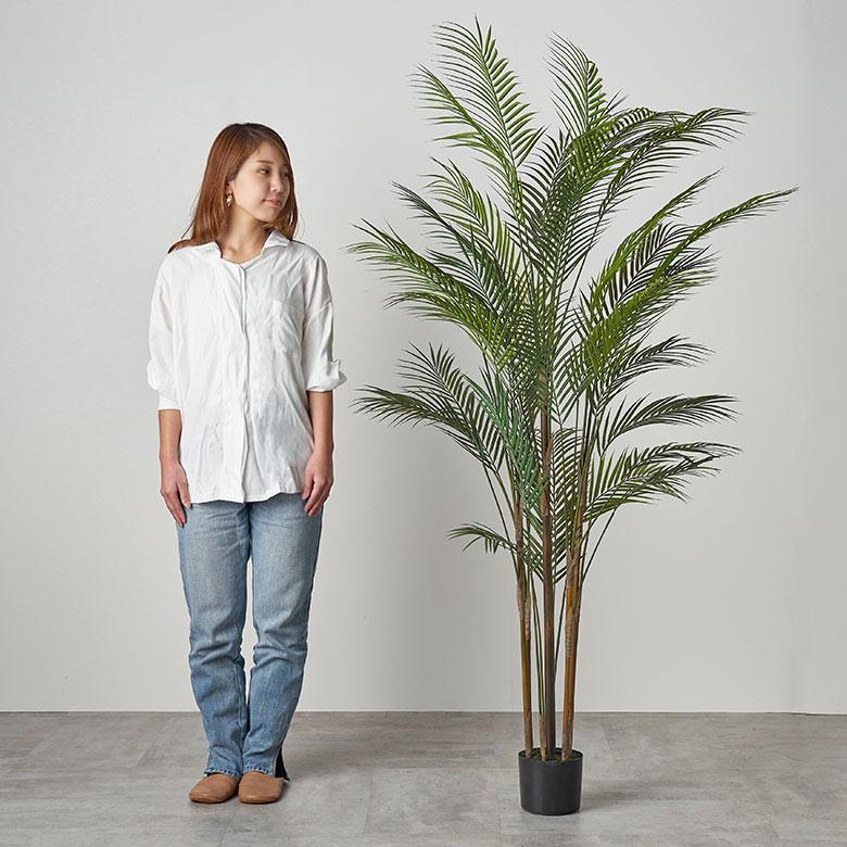 フェイク グリーン ヤシ パーム ツリー 高さ 180cm 人工 観葉 植物 プランツ オブジェ 造花 アート ディスプレイ おしゃれ 北欧 インテリア 西海岸 94015 | ブランド登録なし | 08