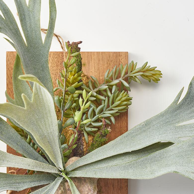 アンティーク　ビカクシダ着生板チキンネットフレーム　シャビーシック　木製飾壁掛け アンティーク ビカクシダ着生板チキンネットフレーム シャビー