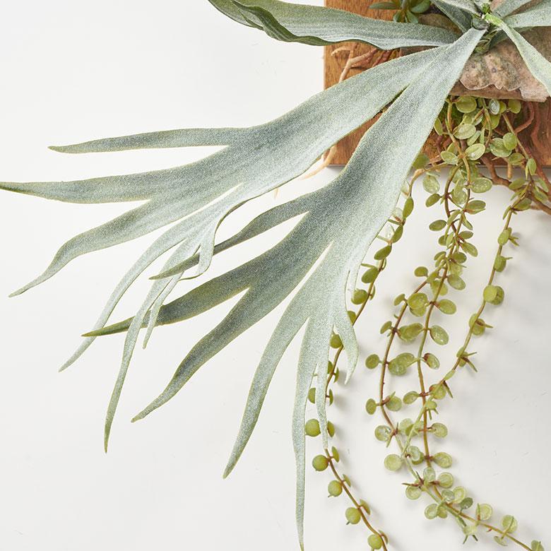 フェイク グリーン ウォール ハンギング ビカクシダ 木製 アート 吊り下げ 壁掛け プランツ 人工 多肉 植物 おしゃれ 北欧 インテリア 雑貨 西海岸 94023 |  | 11