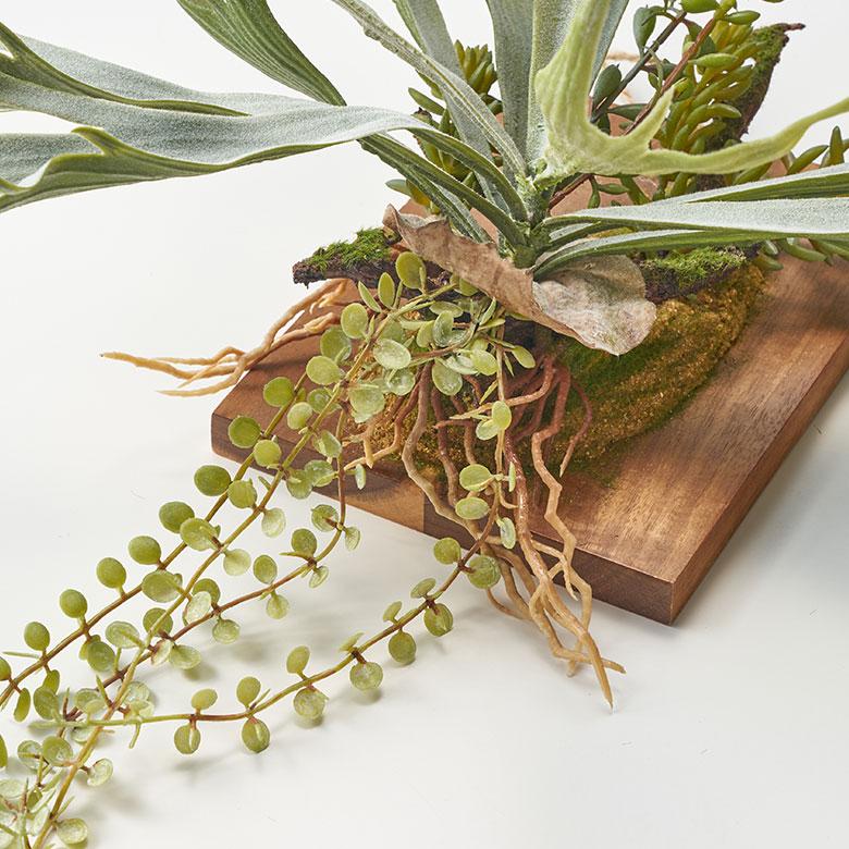 フェイク グリーン ウォール ハンギング ビカクシダ 木製 アート 吊り下げ 壁掛け プランツ 人工 多肉 植物 おしゃれ 北欧 インテリア 雑貨 西海岸 94023 |  | 12