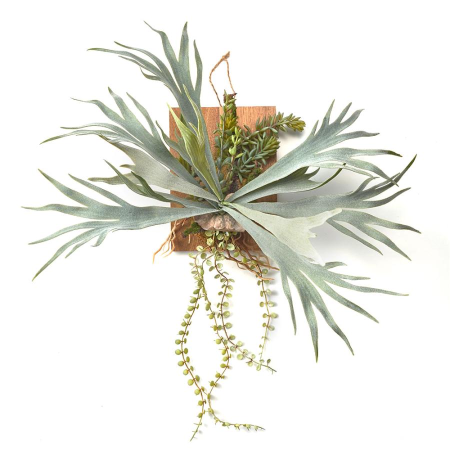 ウォールグリーン77 フェイク グリーン ウォール ハンギング ビカクシダ 木製 アート