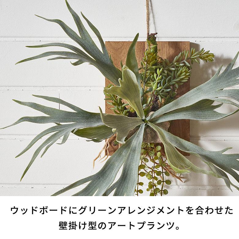 フェイク グリーン ウォール ハンギング ビカクシダ 木製 アート 吊り下げ 壁掛け プランツ 人工 多肉 植物 おしゃれ 北欧 インテリア 雑貨 西海岸 94023 |  | 02