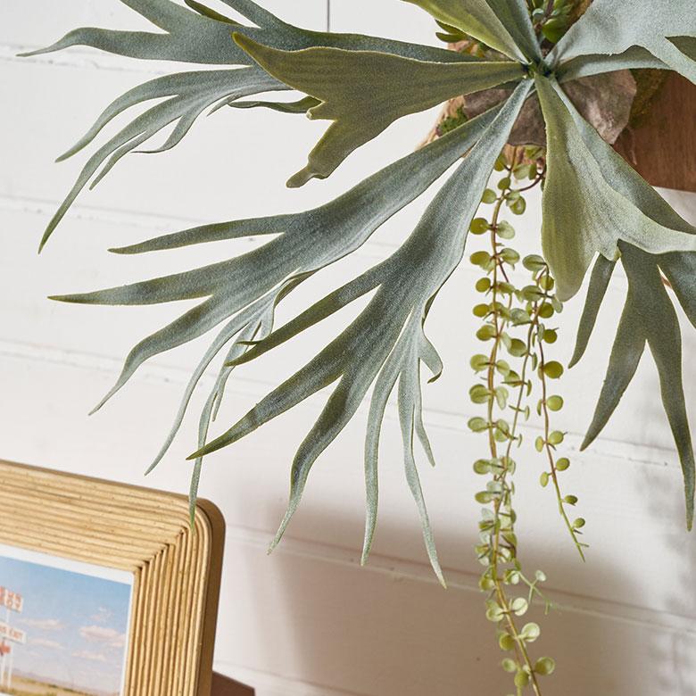 フェイク グリーン ウォール ハンギング ビカクシダ 木製 アート 吊り下げ 壁掛け プランツ 人工 多肉 植物 おしゃれ 北欧 インテリア 雑貨 西海岸 94023 |  | 06