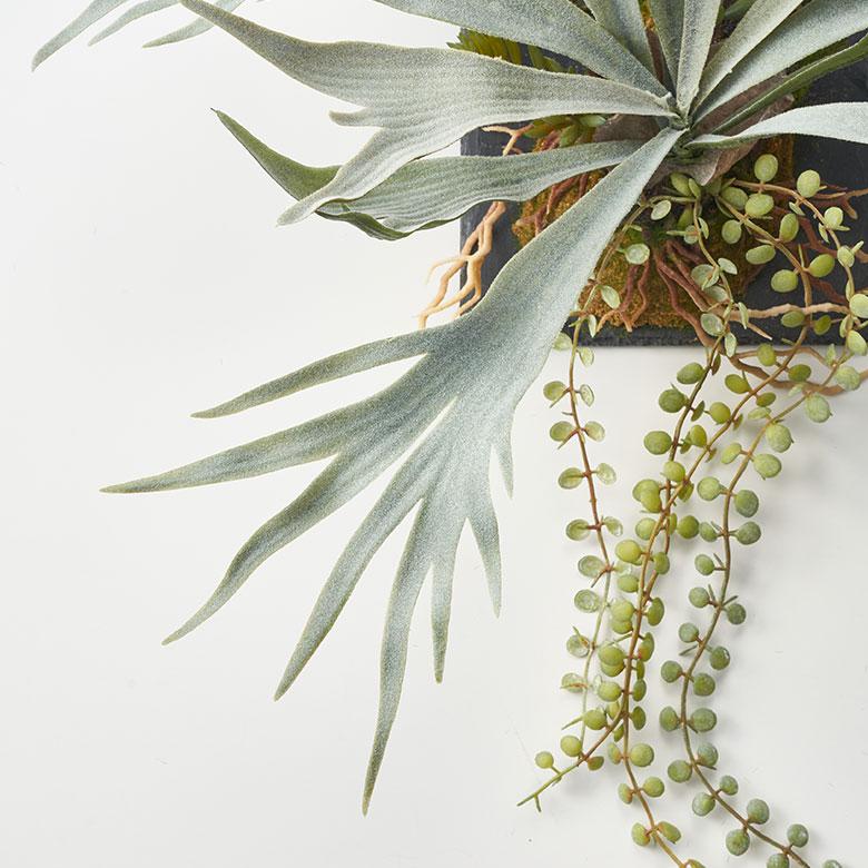 フェイク グリーン ウォール ハンギング ビカクシダ スレート アート 吊り下げ 壁掛け プランツ 人工 多肉 植物 おしゃれ 北欧 インテリア 雑貨 西海岸 94024 |  | 11