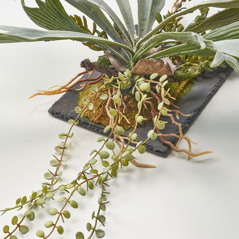フェイク グリーン ウォール ハンギング ビカクシダ スレート アート 吊り下げ 壁掛け プランツ 人工 多肉 植物 おしゃれ 北欧 インテリア 雑貨 西海岸 94024 |  | 12