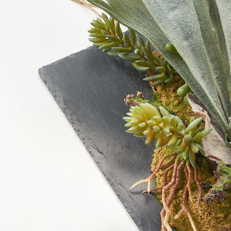 フェイク グリーン ウォール ハンギング ビカクシダ スレート アート 吊り下げ 壁掛け プランツ 人工 多肉 植物 おしゃれ 北欧 インテリア 雑貨 西海岸 94024 |  | 13