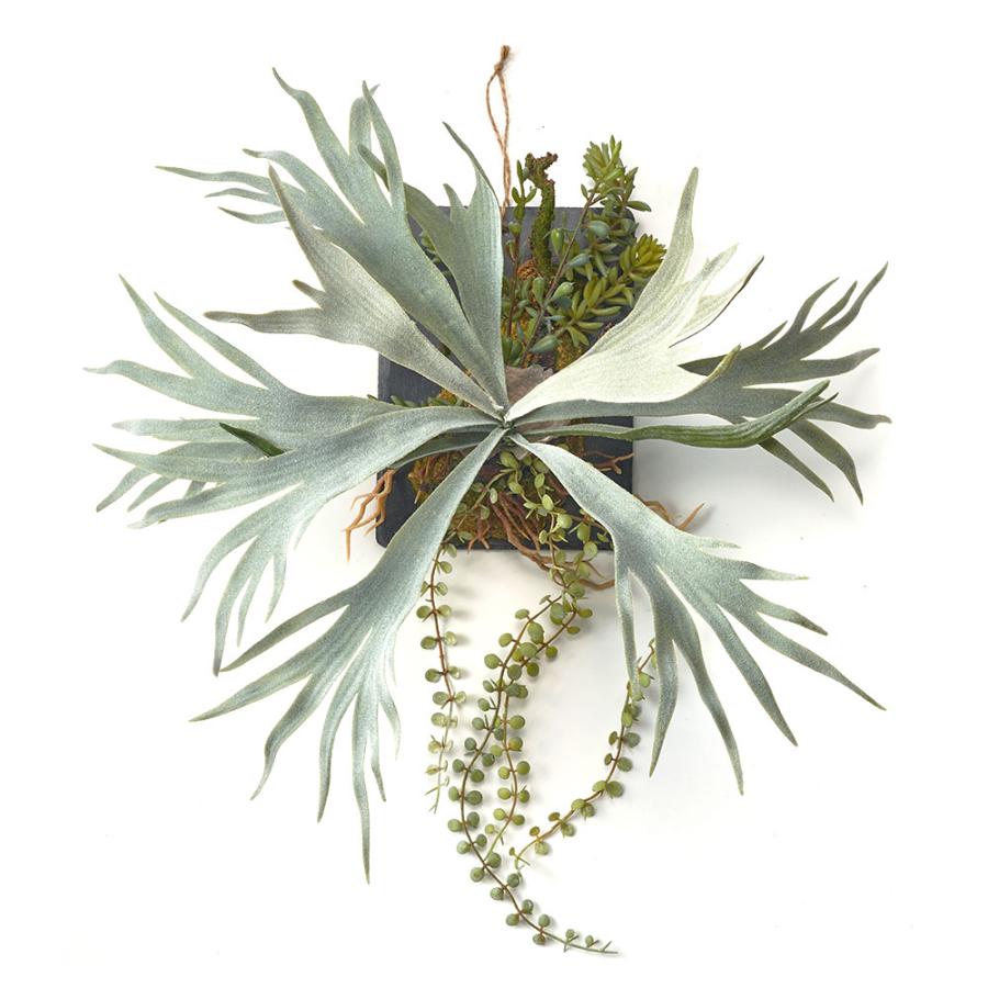 フェイク グリーン ウォール ハンギング ビカクシダ スレート アート 吊り下げ 壁掛け プランツ 人工 多肉 植物 おしゃれ 北欧 インテリア 雑貨 西海岸 94024 |  | 18