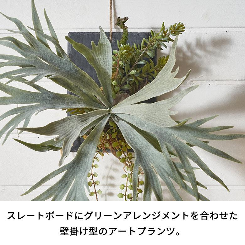 フェイク グリーン ウォール ハンギング ビカクシダ スレート アート 吊り下げ 壁掛け プランツ 人工 多肉 植物 おしゃれ 北欧 インテリア 雑貨 西海岸 94024 |  | 02
