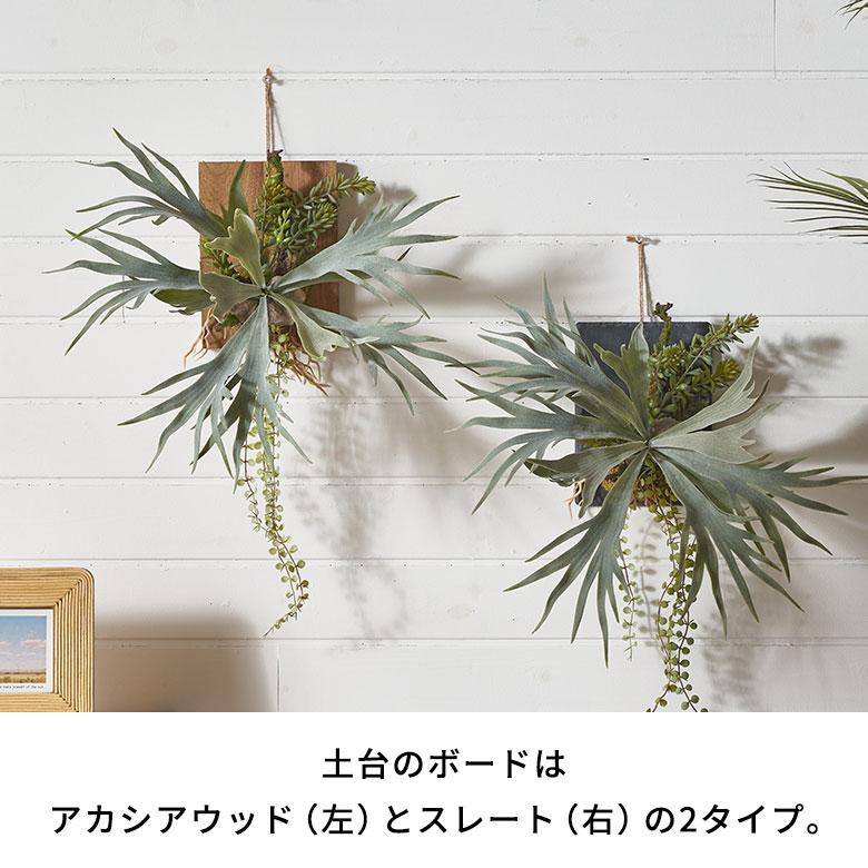 フェイク グリーン ウォール ハンギング ビカクシダ スレート アート 吊り下げ 壁掛け プランツ 人工 多肉 植物 おしゃれ 北欧 インテリア 雑貨 西海岸 94024 |  | 05