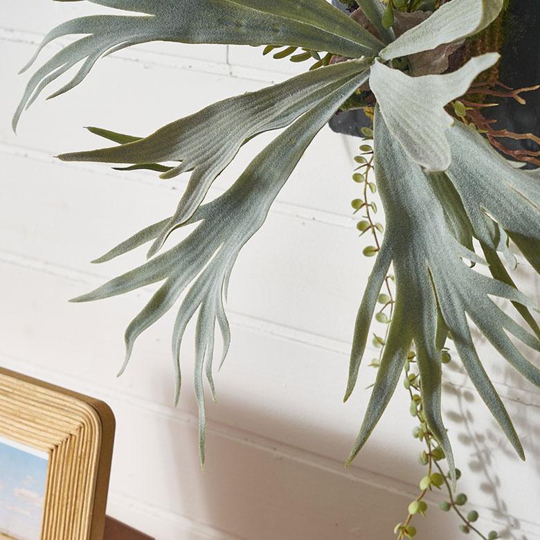 フェイク グリーン ウォール ハンギング ビカクシダ スレート アート 吊り下げ 壁掛け プランツ 人工 多肉 植物 おしゃれ 北欧 インテリア 雑貨 西海岸 94024 |  | 06