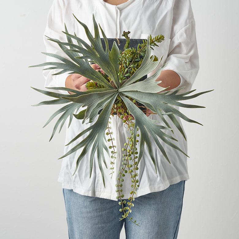フェイク グリーン ウォール ハンギング ビカクシダ スレート アート 吊り下げ 壁掛け プランツ 人工 多肉 植物 おしゃれ 北欧 インテリア 雑貨 西海岸 94024 |  | 09