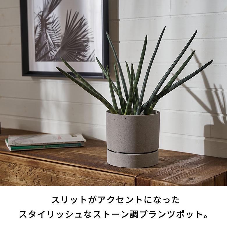 植木 鉢 ポリ ストーン セメント 調 6号 受皿 底穴あり 中型 Mサイズ 直径 約 18cm 高さ 17.5cm プランター カバー おしゃれ 北欧 カフェ 雑貨 西海岸 94028 | ブランド登録なし | 01