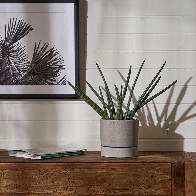 植木 鉢 ポリ ストーン セメント 調 6号 受皿 底穴あり 中型 Mサイズ 直径 約 18cm 高さ 17.5cm プランター カバー おしゃれ 北欧 カフェ 雑貨 西海岸 94028 | ブランド登録なし | 04