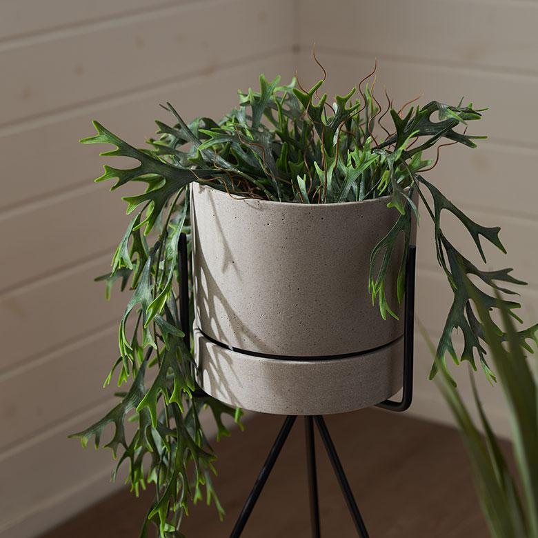 植木 鉢 ポリ ストーン セメント 調 6号 受皿 底穴あり 中型 Mサイズ 直径 約 18cm 高さ 17.5cm プランター カバー おしゃれ 北欧 カフェ 雑貨 西海岸 94028 | ブランド登録なし | 06