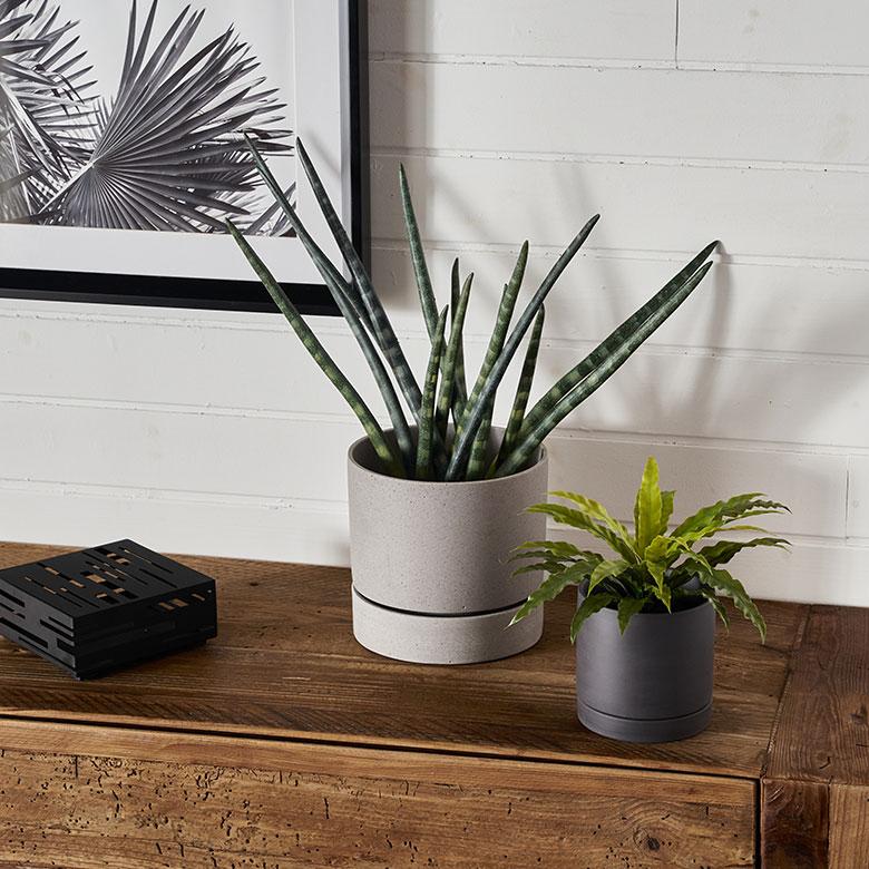 植木 鉢 ポリ ストーン セメント 調 6号 受皿 底穴あり 中型 Mサイズ 直径 約 18cm 高さ 17.5cm プランター カバー おしゃれ 北欧 カフェ 雑貨 西海岸 94028 | ブランド登録なし | 07