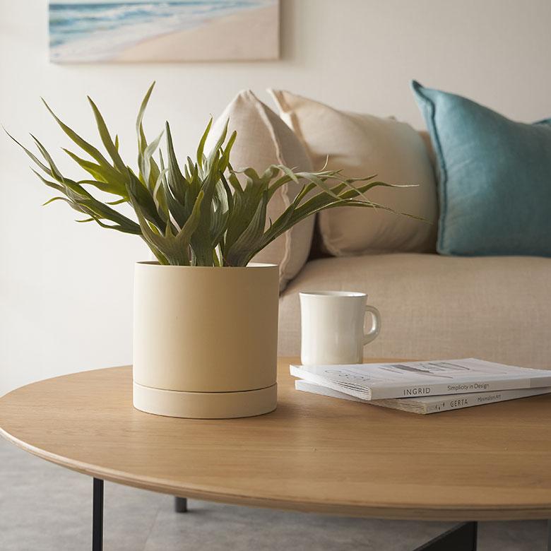 植木 鉢 陶器 マット 5号 受皿 底穴あり 中型 Mサイズ 直径 約 15cm 高さ 14.5cm 花 観葉 多肉 プランター カバー おしゃれ 北欧 カフェ 雑貨 西海岸 94030 | ブランド登録なし | 10