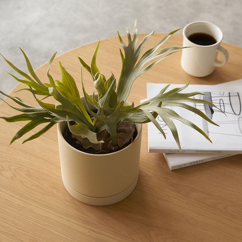 植木 鉢 陶器 マット 5号 受皿 底穴あり 中型 Mサイズ 直径 約 15cm 高さ 14.5cm 花 観葉 多肉 プランター カバー おしゃれ 北欧 カフェ 雑貨 西海岸 94030 | ブランド登録なし | 11