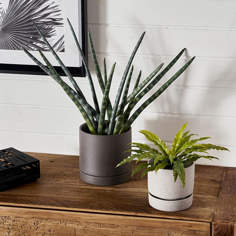 植木 鉢 陶器 マット 5号 受皿 底穴あり 中型 Mサイズ 直径 約 15cm 高さ 14.5cm 花 観葉 多肉 プランター カバー おしゃれ 北欧 カフェ 雑貨 西海岸 94030 | ブランド登録なし | 12