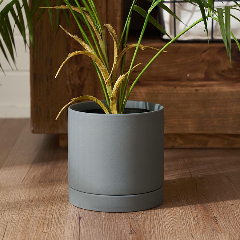 植木 鉢 陶器 マット 5号 受皿 底穴あり 中型 Mサイズ 直径 約 15cm 高さ 14.5cm 花 観葉 多肉 プランター カバー おしゃれ 北欧 カフェ 雑貨 西海岸 94030 | ブランド登録なし | 09