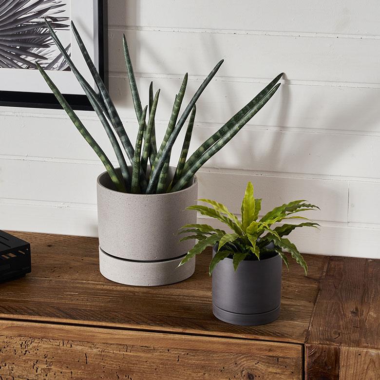 植木 鉢 陶器 マット 4号 受皿 底穴あり 小型 Sサイズ 直径 約 植木 鉢 陶器 マット 4号 受皿 底穴あり 小型 Sサイズ 直径 約