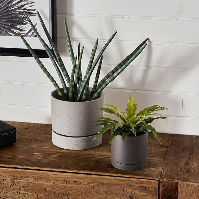 植木 鉢 陶器 マット 4号 受皿 底穴あり 小型 Sサイズ 直径 約 11.5cm 高さ 11cm 花 観葉 多肉 プランター カバー おしゃれ 北欧 カフェ 雑貨 西海岸 94031 | ブランド登録なし | 12