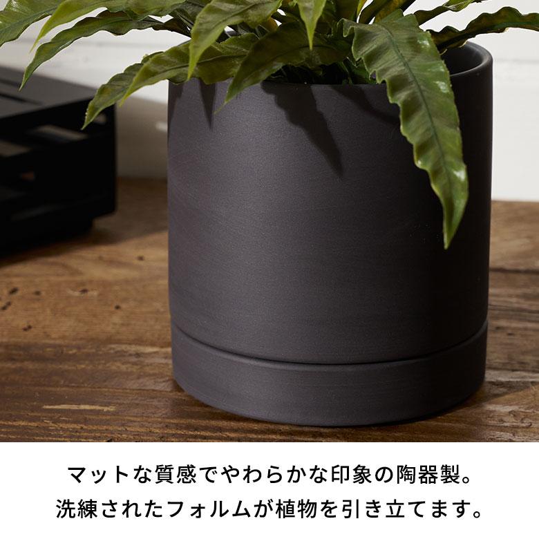 植木 鉢 陶器 マット 4号 受皿 底穴あり 小型 Sサイズ 直径 約 植木 鉢 陶器 マット 4号 受皿 底穴あり 小型 Sサイズ 直径 約