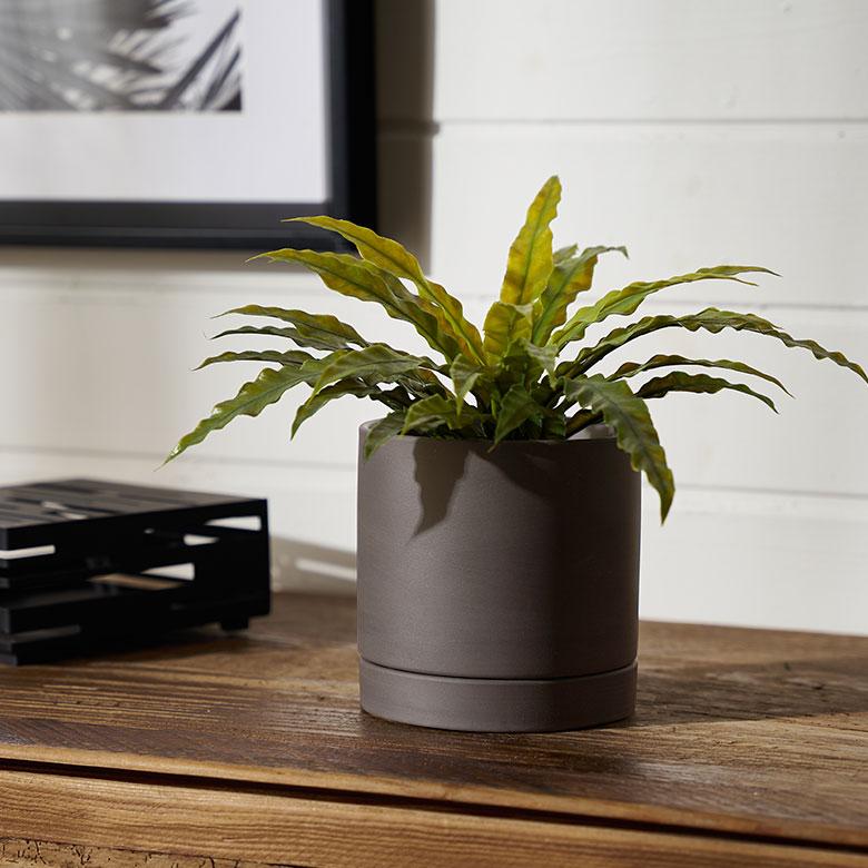 植木 鉢 陶器 マット 4号 受皿 底穴あり 小型 Sサイズ 直径 約