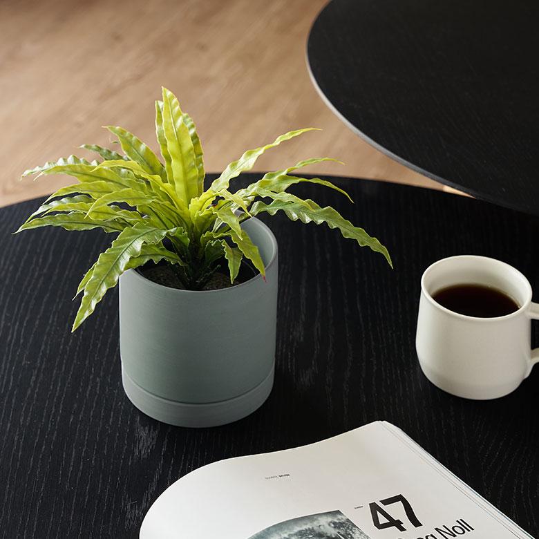 植木 鉢 陶器 マット 4号 受皿 底穴あり 小型 Sサイズ 直径 約 11.5cm 高さ 11cm 花 観葉 多肉 プランター カバー おしゃれ 北欧 カフェ 雑貨 西海岸 94031 | ブランド登録なし | 08