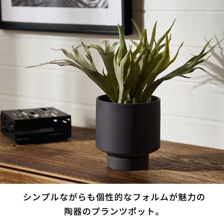植木 鉢 陶器 マット 4号 受皿 底穴あり 小型 ハイタイプ 直径 植木 鉢 陶器 マット 4号 受皿 底穴あり 小型 ハイタイプ 直径
