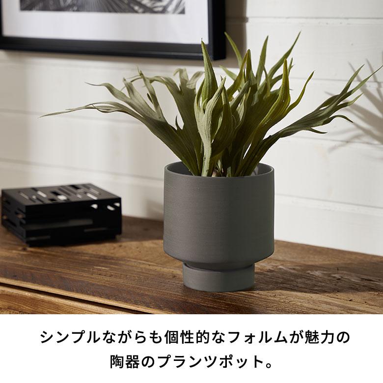 植木 鉢 陶器 マット 4号 受皿 底穴あり 小型 ハイタイプ 直径