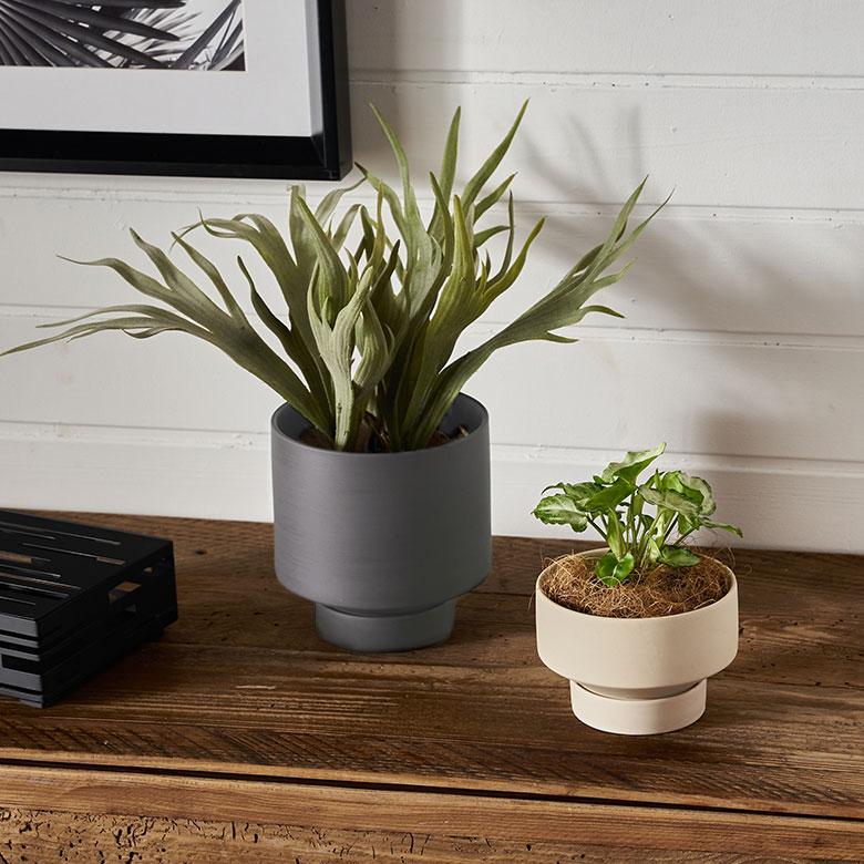 植木 鉢 陶器 マット 4号 受皿 底穴あり 小型 ハイタイプ 直径 約 13.5