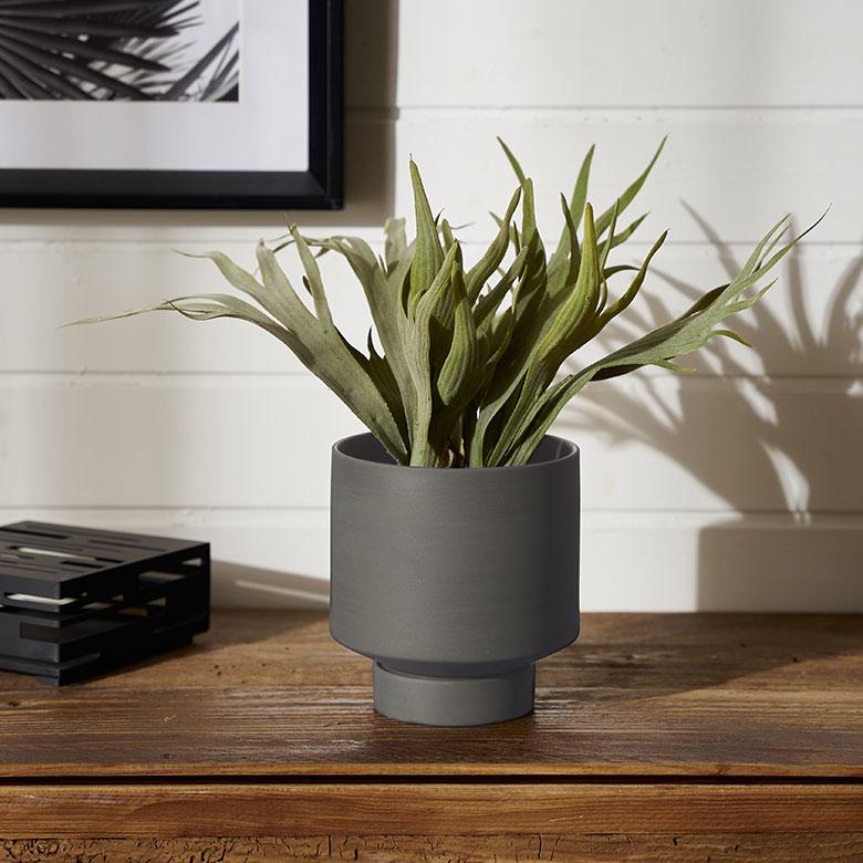 植木 鉢 陶器 マット 4号 受皿 底穴あり 小型 ハイタイプ 直径 約 13.5cm 高さ 14cm 花 観葉 多肉 プランター カバー おしゃれ 北欧 カフェ 雑貨 西海岸 94032 | ブランド登録なし | 06