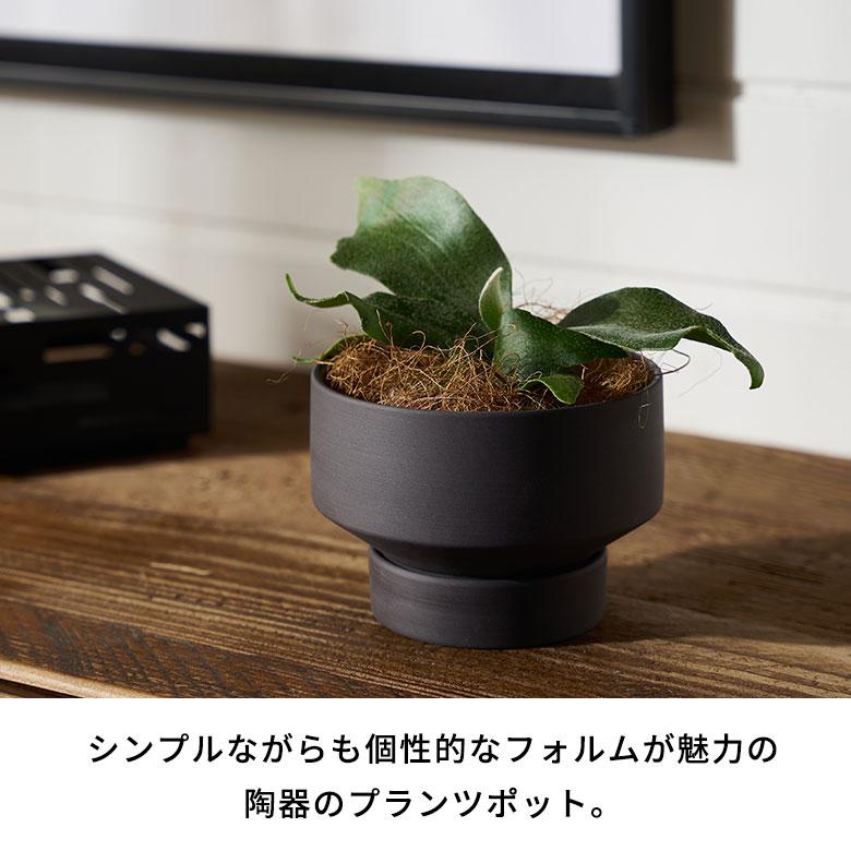 植木 鉢 陶器 マット 4号 受皿 底穴あり 小型 ロータイプ 直径 植木 鉢 陶器 マット 4号 受皿 底穴あり 小型 ロータイプ 直径