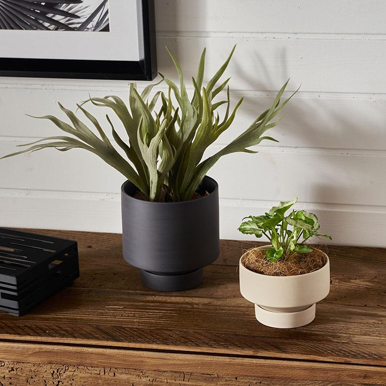 植木 鉢 陶器 マット 4号 受皿 底穴あり 小型 ロータイプ 直径 植木 鉢 陶器 マット 4号 受皿 底穴あり 小型 ロータイプ 直径