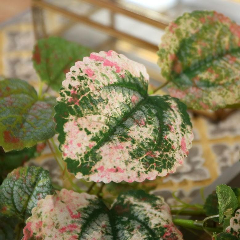 ガーデンベゴニア フェイクグリーン ツル性 造花 観葉植物 フラワーアレンジメント インテリアグリーン お手入れ不要 室内 94126 | ブランド登録なし | 01