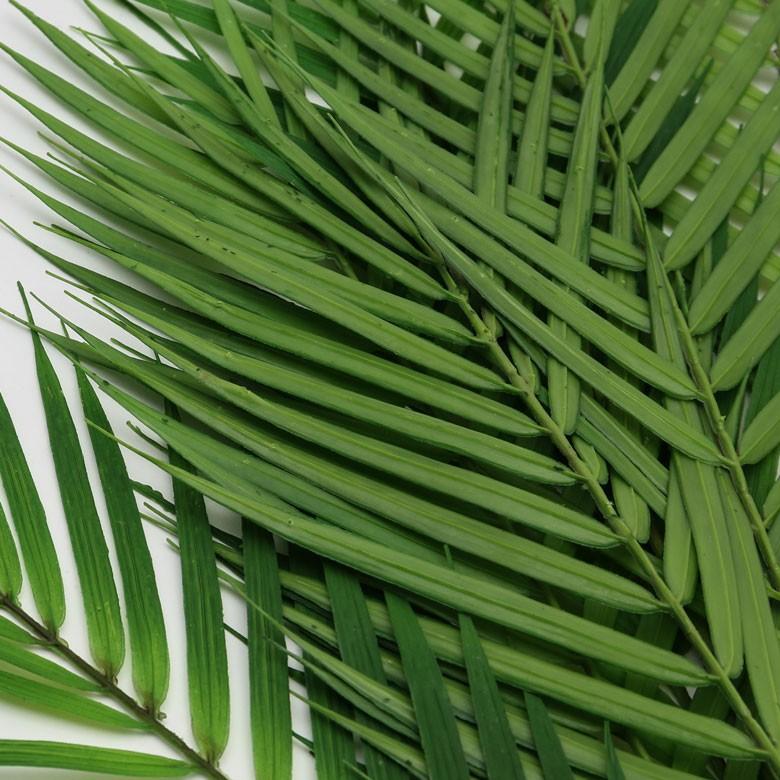 パームリーフ フェイクグリーン 南国 西海岸 造花 観葉植物 フラワーアレンジメント インテリアグリーン お手入れ不要 室内 94128 | ブランド登録なし | 04