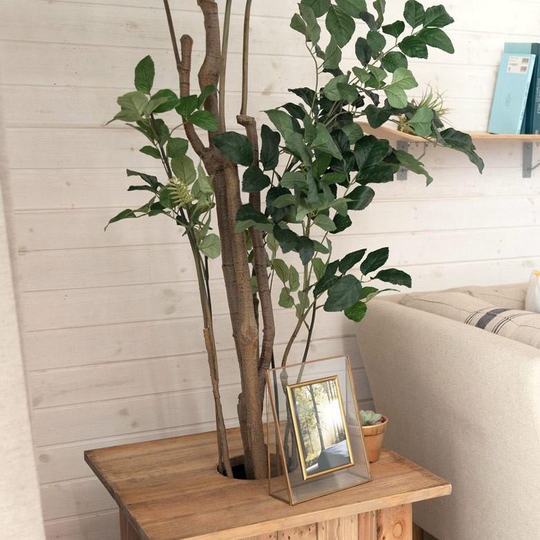 フェイクグリーン パームツリー ポリシャス ポリスキアス 寄せ植え グリーン 観葉植物 ボタニカル 造花 インテリア 室内 おしゃれ 94135 | ブランド登録なし | 04