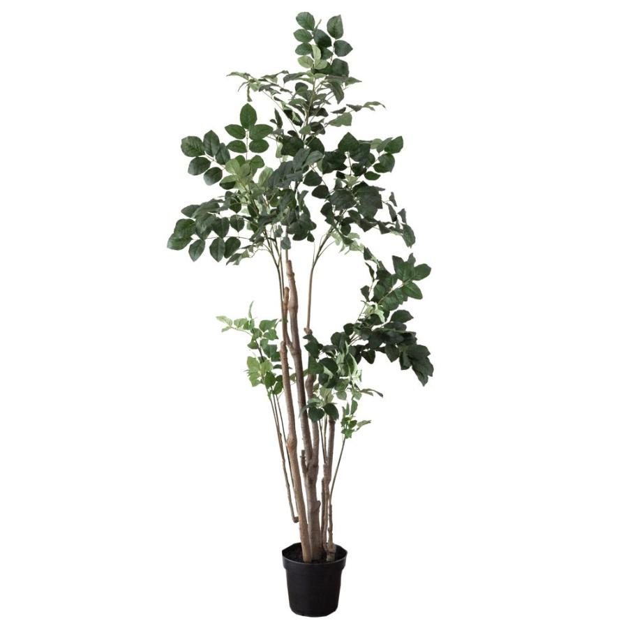 フェイクグリーン パームツリー ポリシャス ポリスキアス 寄せ植え グリーン 観葉植物 ボタニカル 造花 インテリア 室内 おしゃれ Elements 通販 Yahoo ショッピング