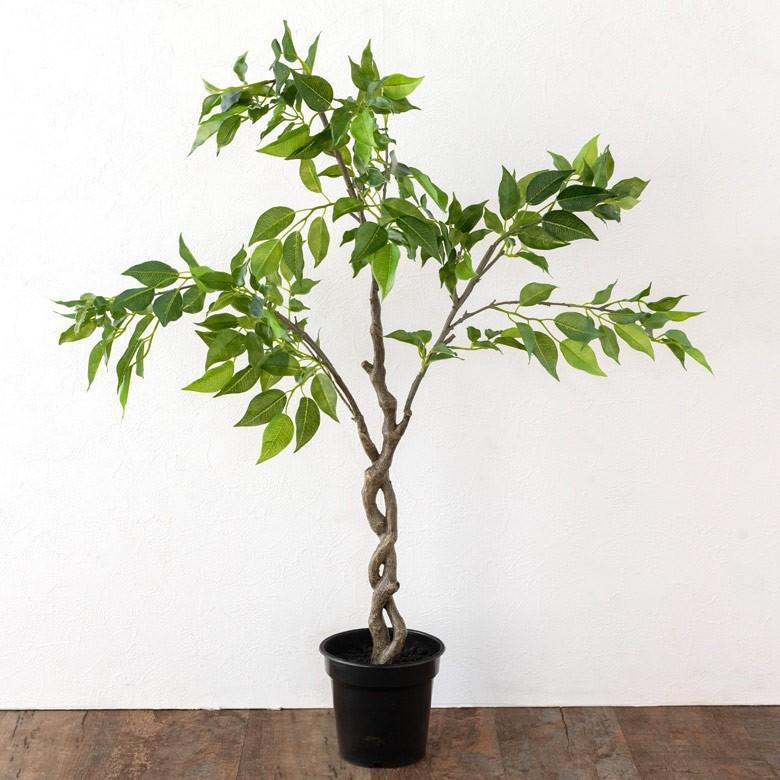フェイクグリーン パームツリー ファイカス 寄せ植え グリーン 観葉植物 ボタニカル 造花 インテリア 室内 おしゃれ 94137 | ブランド登録なし