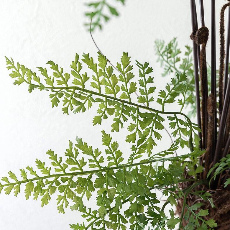 フェイクグリーン パームツリー ファーン シダ ツタ 寄せ植え グリーン