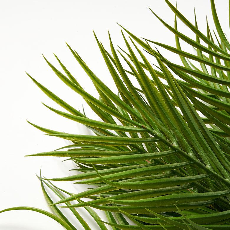 フェイク グリーン パームリーフ 観葉植物 結婚式 アート プランツ フラワー 造花 おしゃれ ナチュラル ボタニカル リビング インテリア 西海岸 94142 | ブランド登録なし | 08