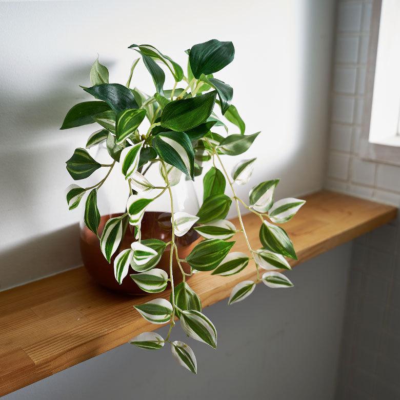 フェイク グリーン トラディスカンティア 観葉植物 造花 インテリア おしゃれ リゾート アーティフィシャル カフェ 結婚式 お祝い フラワー 西海岸 94145 | ブランド登録なし | 11