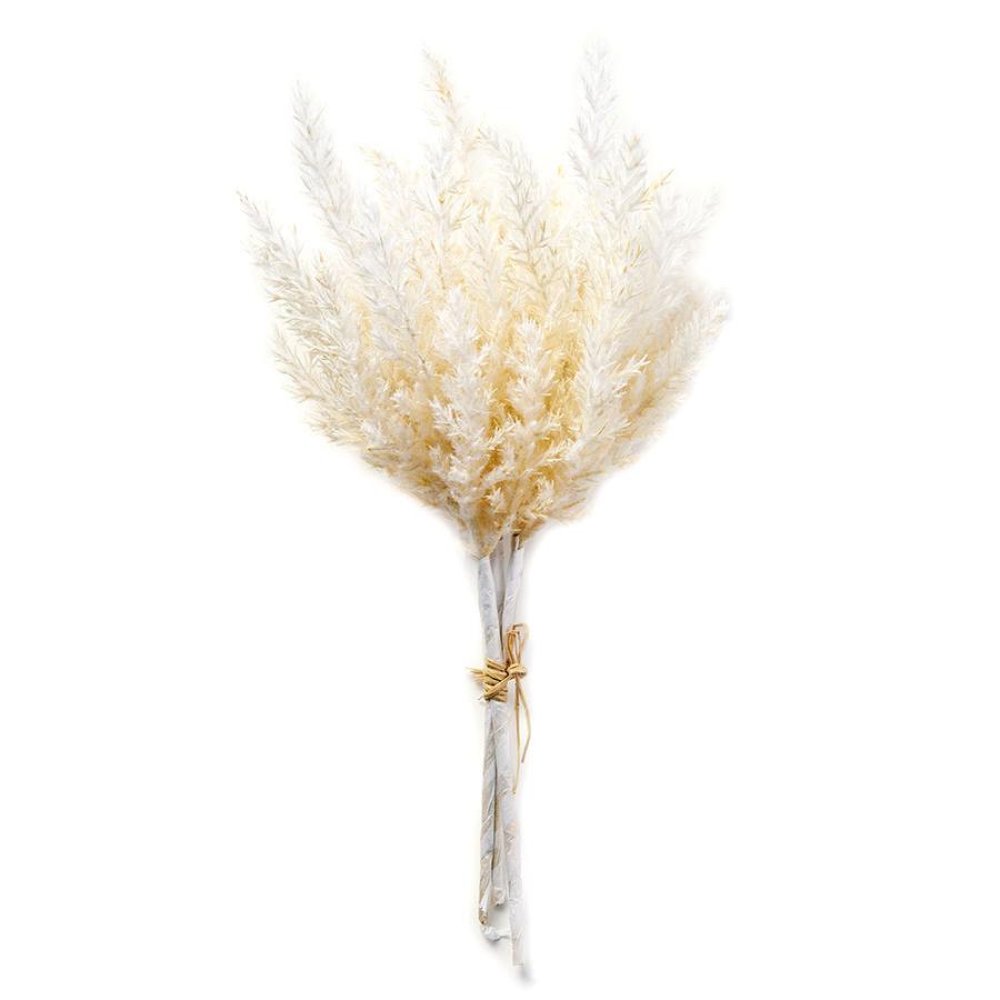フェイク グリーン パンパス リーフ 造花 3本入り ホワイト アイボリー フラワー 花束 観葉植物 ボタニカル おしゃれ ナチュラル 北欧 西海岸 コースタル 94146 | ブランド登録なし | 12