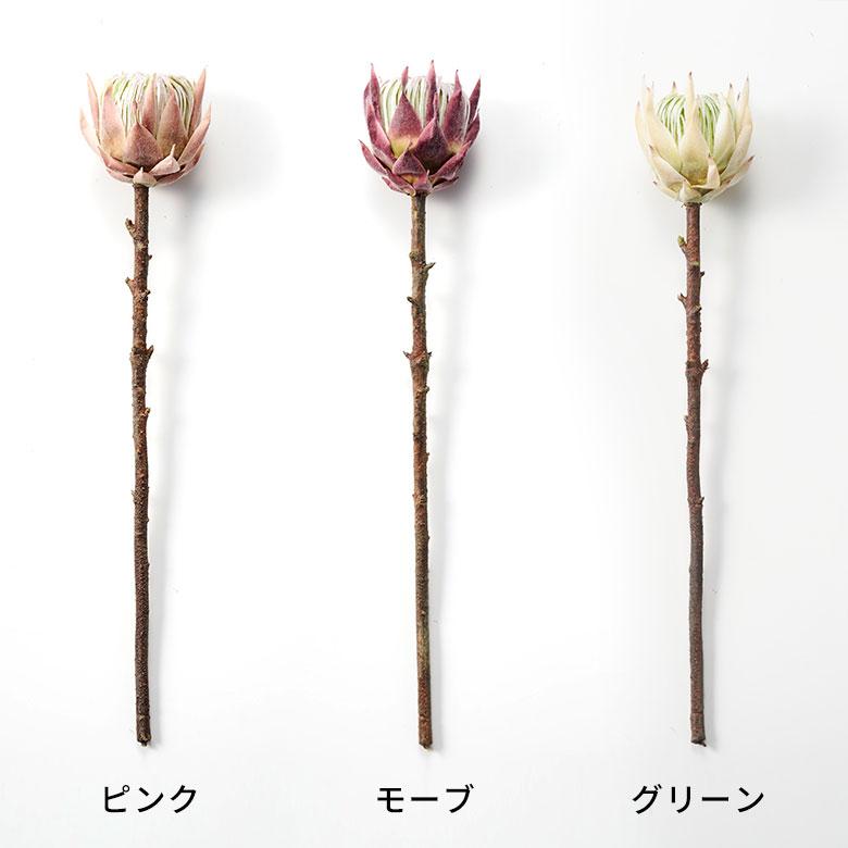 プロテア 造花 アーティフィシャル フラワー フェイク 高さ 50cm アート インテリア 花 アレンジメント リゾート 南国 おしゃれ 雑貨 西海岸風 94151 | ブランド登録なし | 16