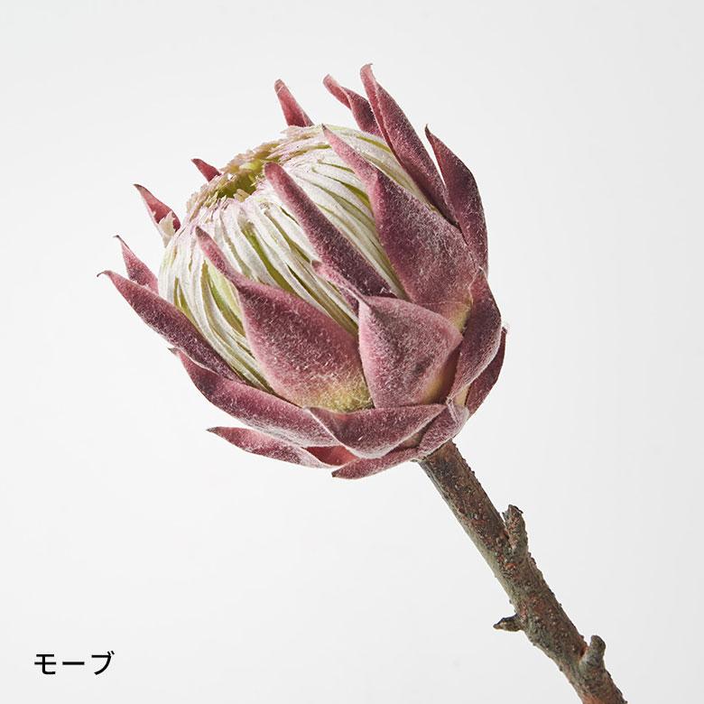 プロテア 造花 アーティフィシャル フラワー フェイク 高さ 50cm アート インテリア 花 アレンジメント リゾート 南国 おしゃれ 雑貨 西海岸風 94151 | ブランド登録なし | 18